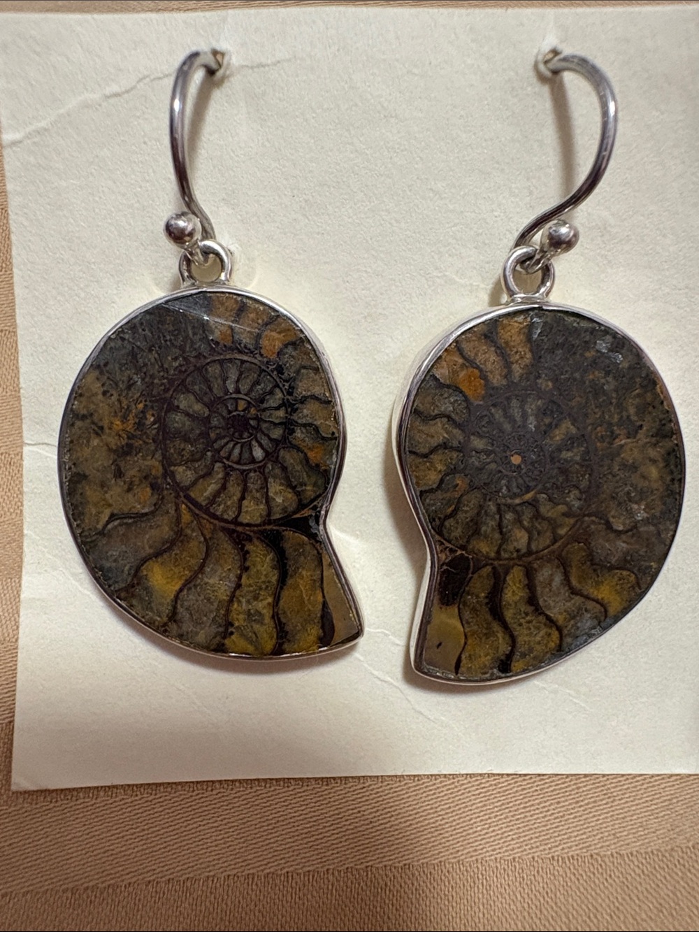 Ammonite Fossil Drop Earrings - Olive Brown Stone Set in Silver